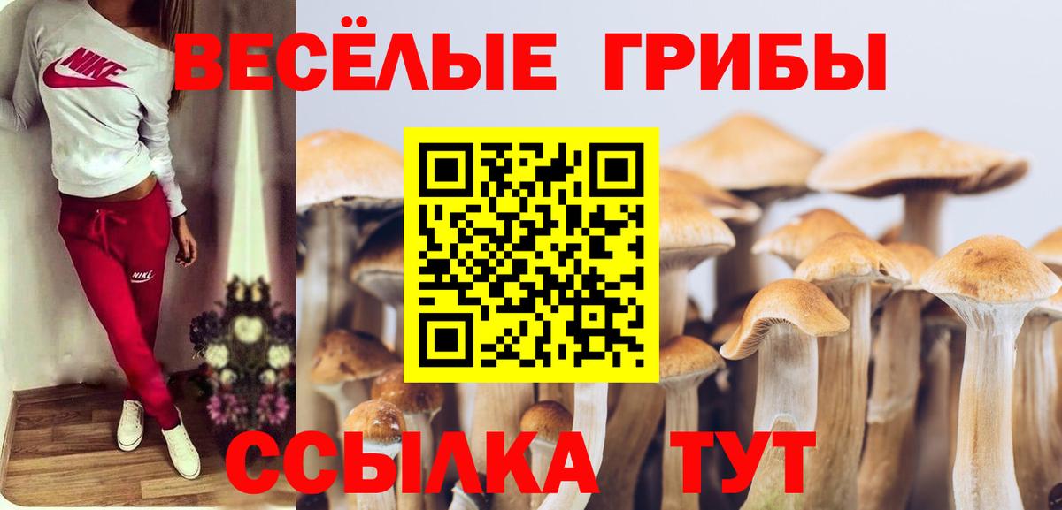 Галлюциногенные грибы Magic Shrooms Луховицы