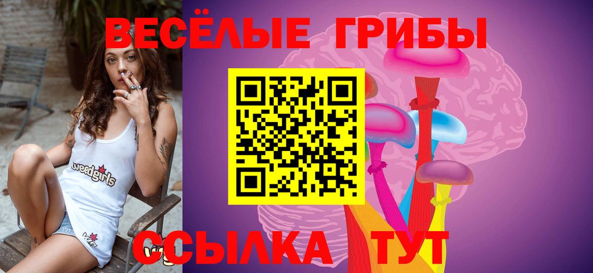 Луховицы  Псилоцибиновые грибы Cubensis  купить   Вход с VPN 